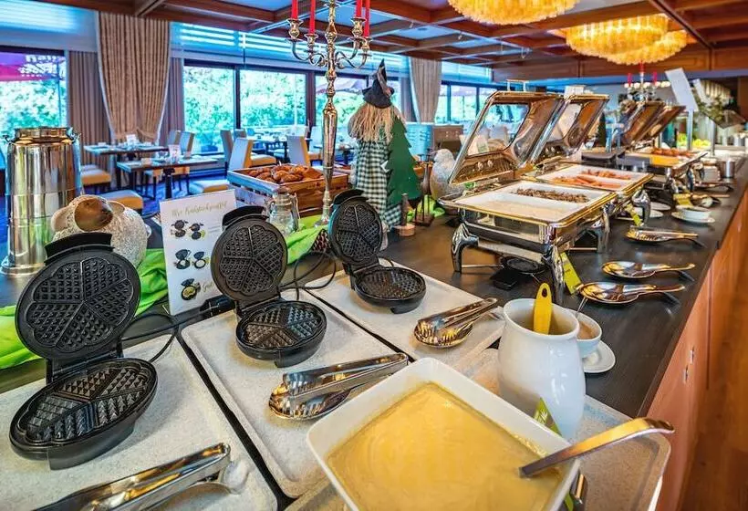 Ahorn Harz Hotel Braunlage