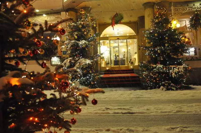 ホテル Bellevue Rhein