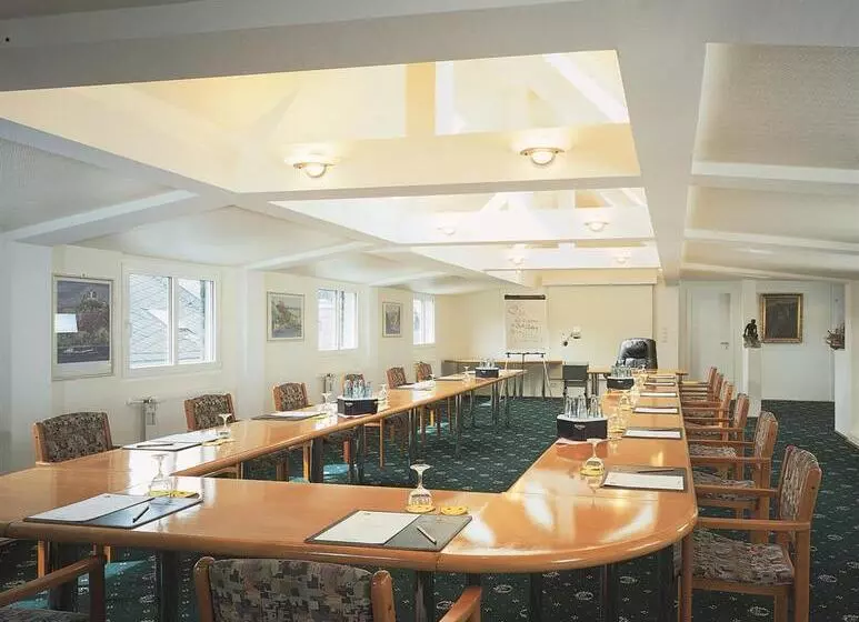 ホテル Bellevue Rhein