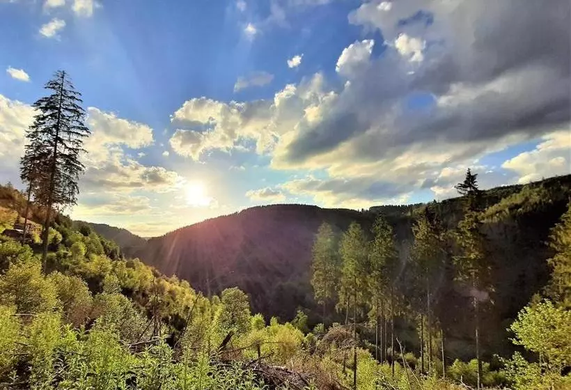 Harz Hotel Iris