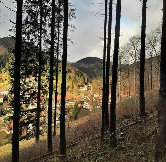 Harz Hotel Iris