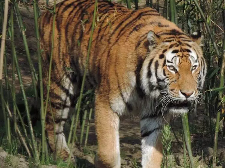 Mercure Hotel Duisburg City