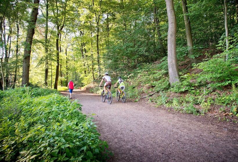 Romantik Waldhotel Mangold