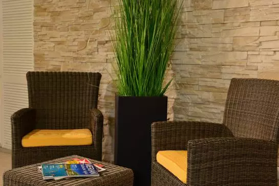 בית מלון כפרי Business Rosenau