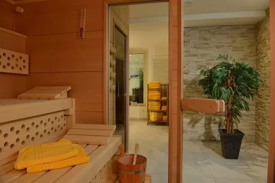 בית מלון כפרי Business Rosenau