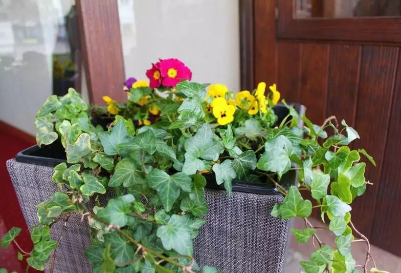 Hotel Linde Stuttgart Sindelfingen