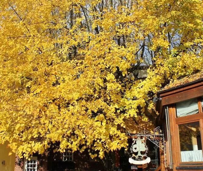 Отель Lindenhof