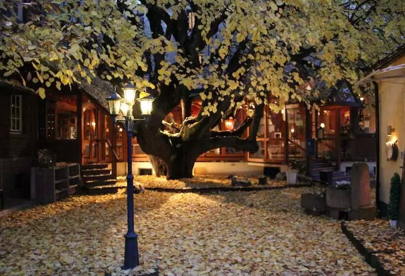 Отель Lindenhof