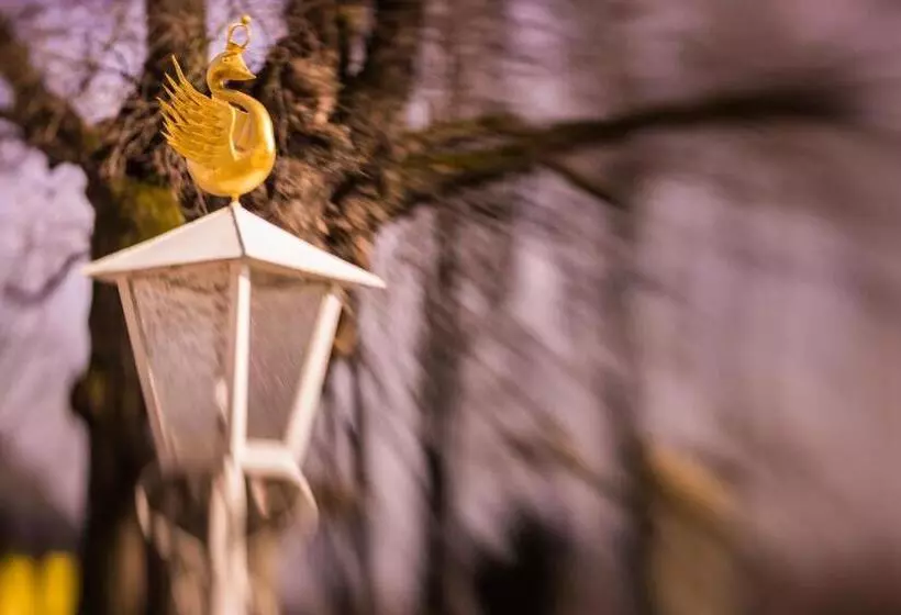 Отель Schwan Das Gästehaus Ilse