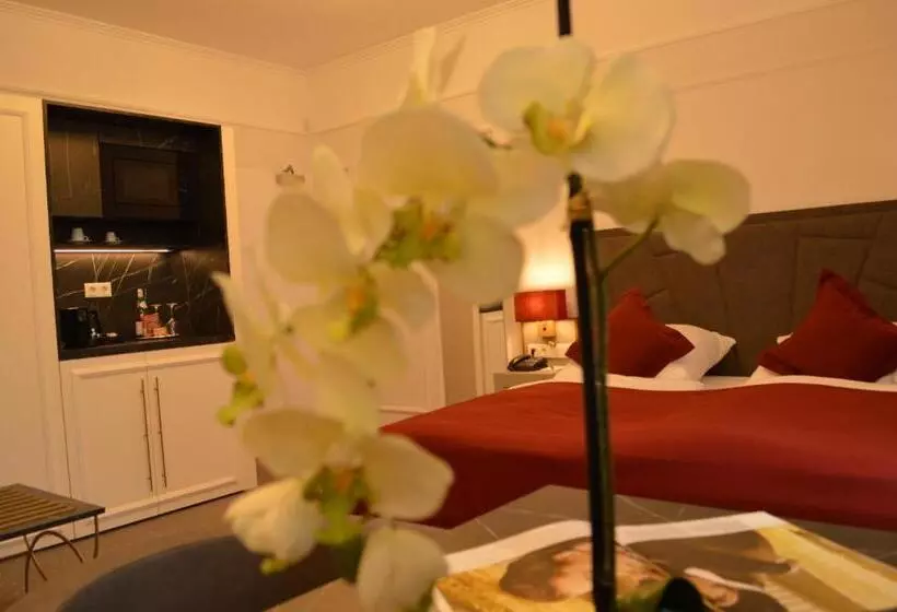 호텔 Starapart Hansa