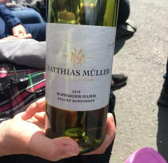 בית מלון כפרי Rhein Wagner