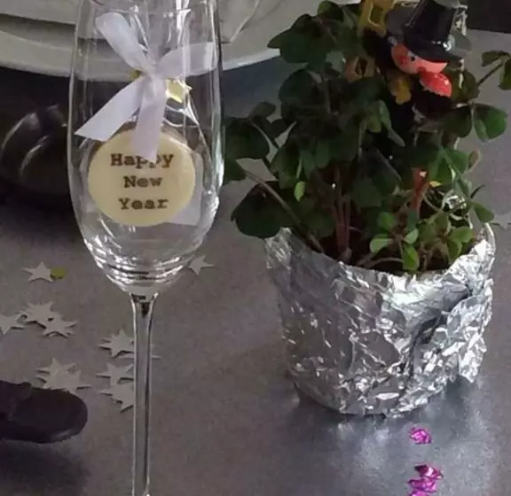 בית מלון כפרי Rhein Wagner