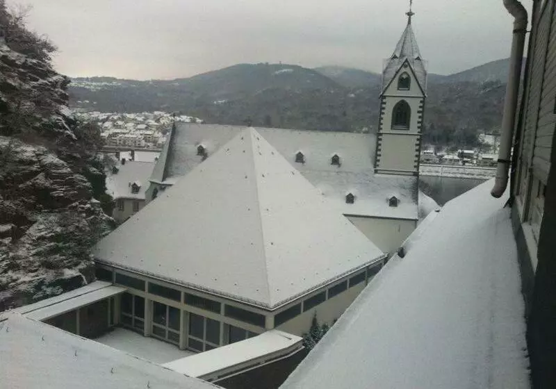 בית מלון כפרי Rhein Wagner