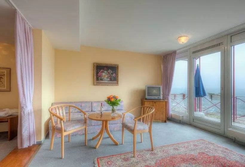 Waldhotel Sonnenberg