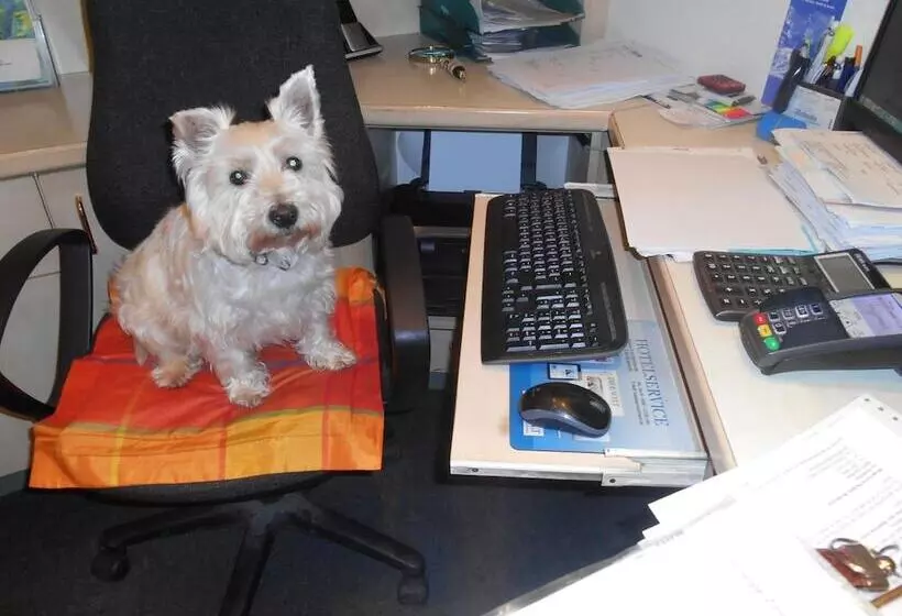 Moselromantik Hotel Weissmühle