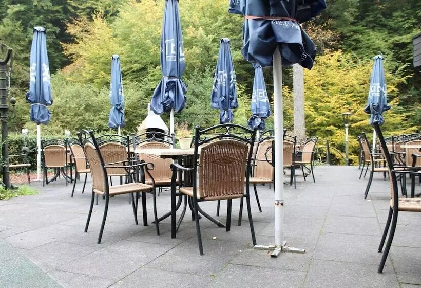 Moselromantik Hotel Weissmühle