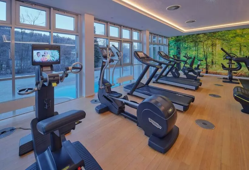 Отель Dorint Resort & Spa Bad Brückenau