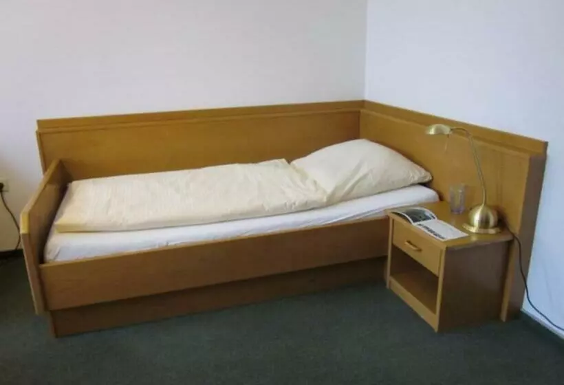 Отель Salzburger Hof  Garni