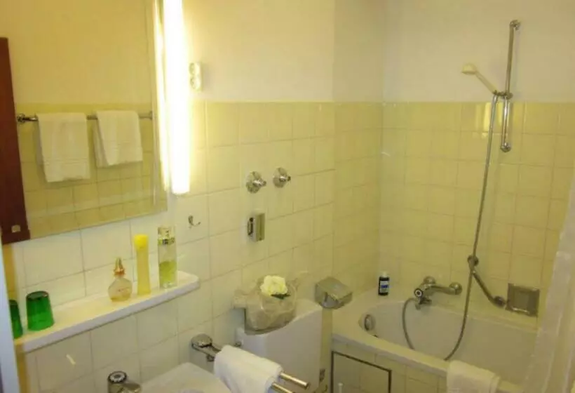 Отель Salzburger Hof  Garni