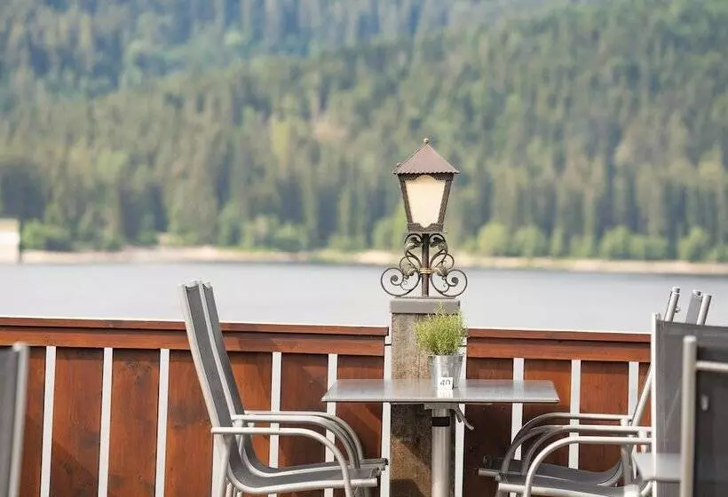 فندق Schiff Am Schluchsee