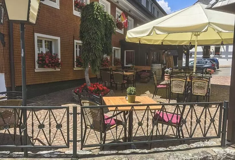 فندق Schiff Am Schluchsee