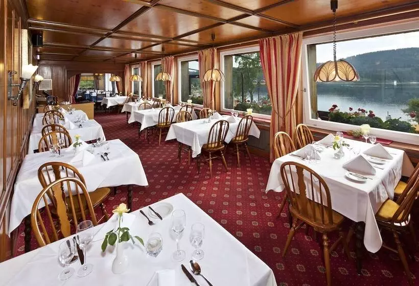 فندق Schiff Am Schluchsee