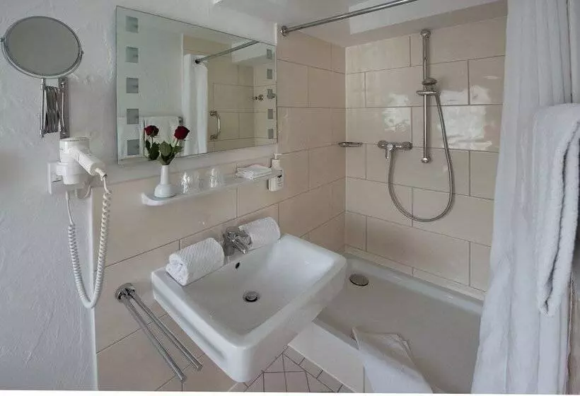 فندق Schiff Am Schluchsee