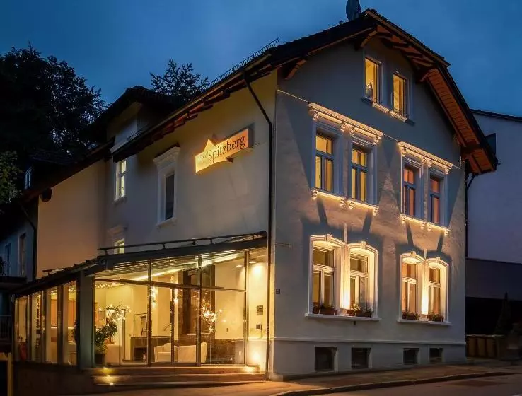 Отель Spitzberg Garni