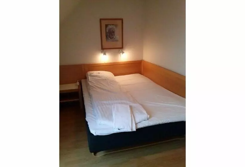 בית מלון כפרי Hejse Kro