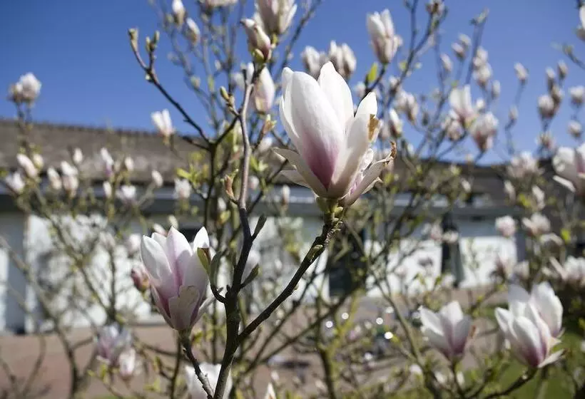 ホテル Munkebo Kro &