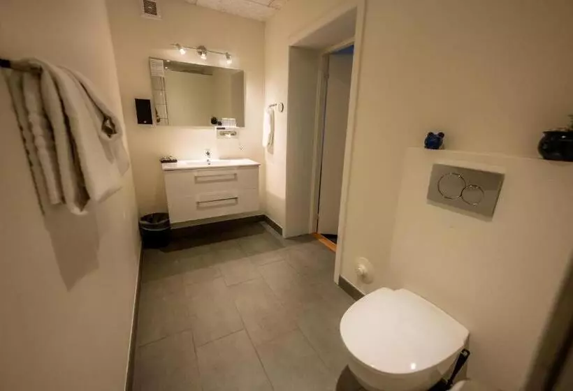 Отель Nymindegab Kro