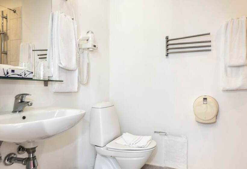 בית מלון כפרי Prinsen