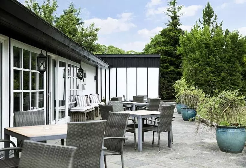 فندق Skjalm Hvide