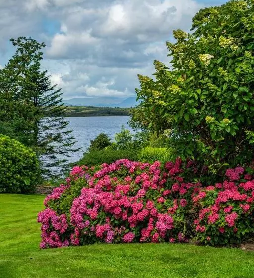 酒店 Ard Na Sidhe Country House