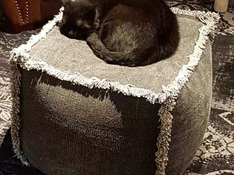 فندق Hôtel Spa Le Moulin De La Wantzenau Strasbourg Nord