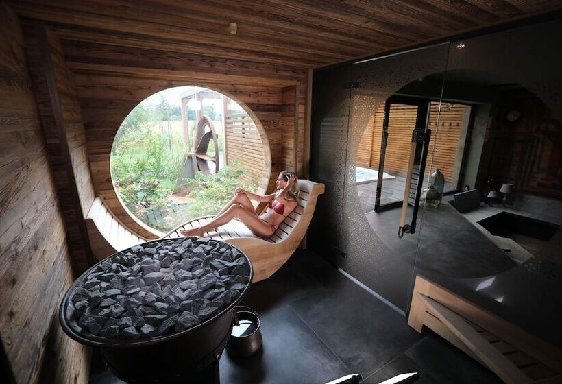 ホテル Hôtel Spa Le Moulin De La Wantzenau   Strasbourg Nord