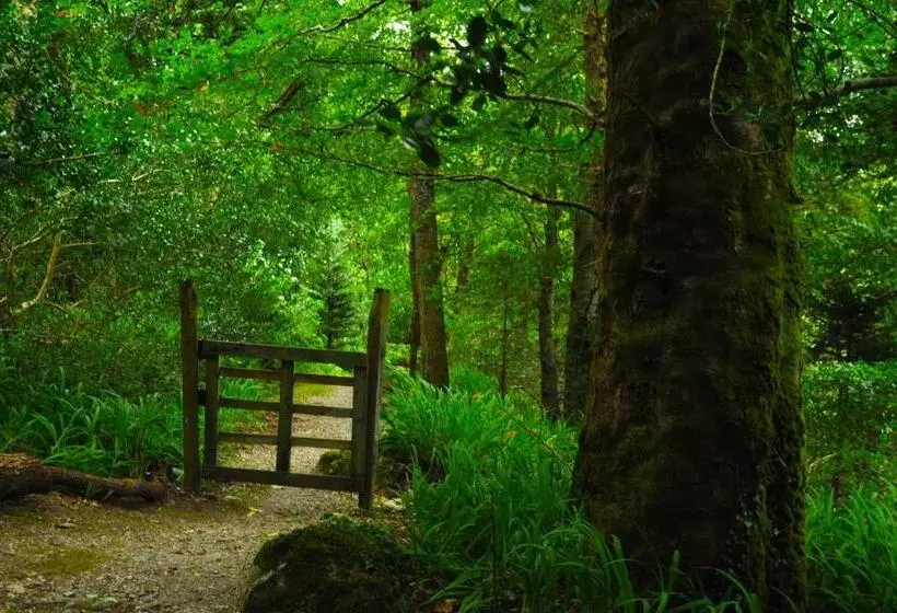 Отель Rosleague Manor