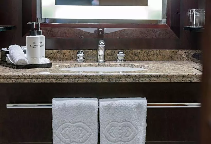 Hotel Sofitel Lyon Bellecour