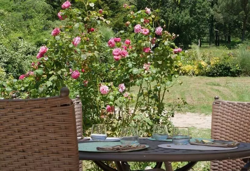 Отель Chateau Camiac