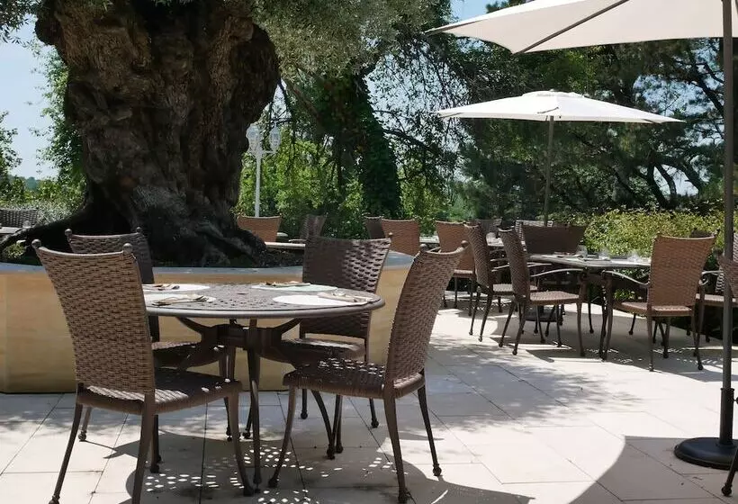 Отель Chateau Camiac