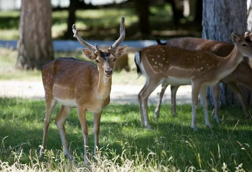 ホテル Château De Rochegude