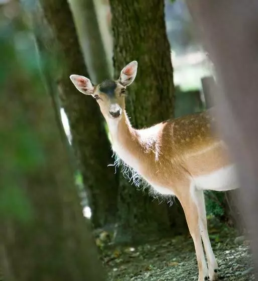ホテル Château De Rochegude