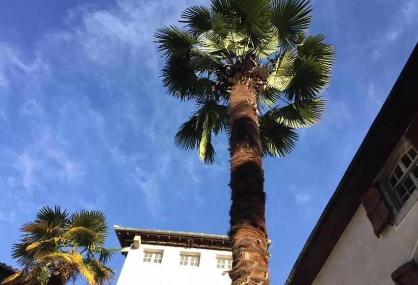 هتل Hostellerie Des Cèdres