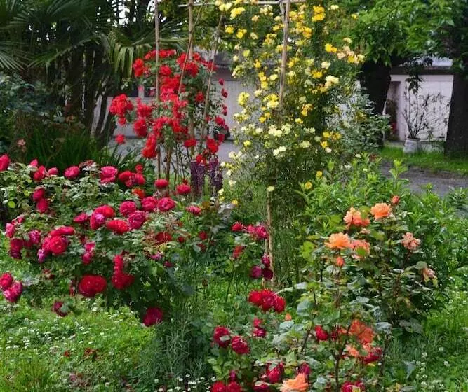 בית מלון כפרי Hôtel Restaurant Du Bearn