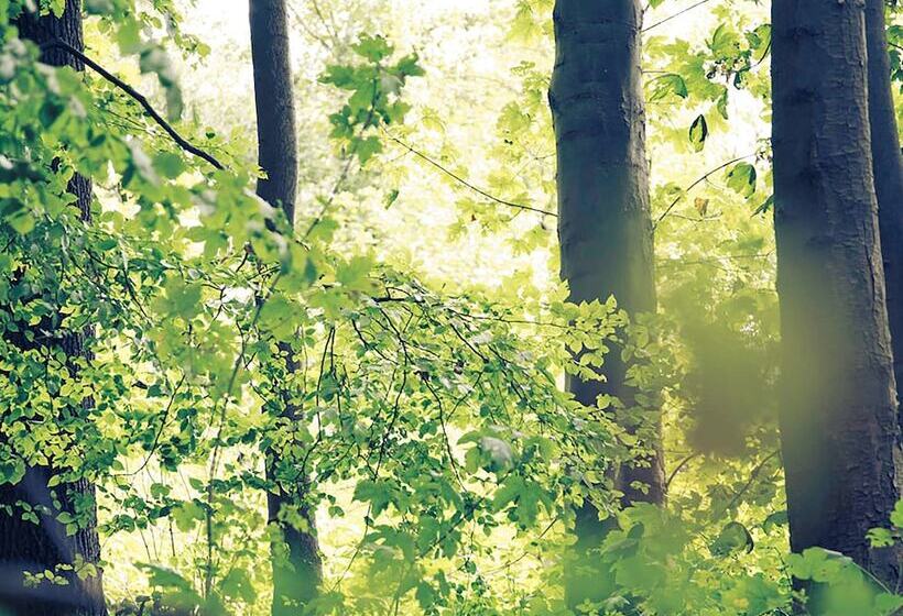 هتل Ibis Haguenau Strasbourg Nord