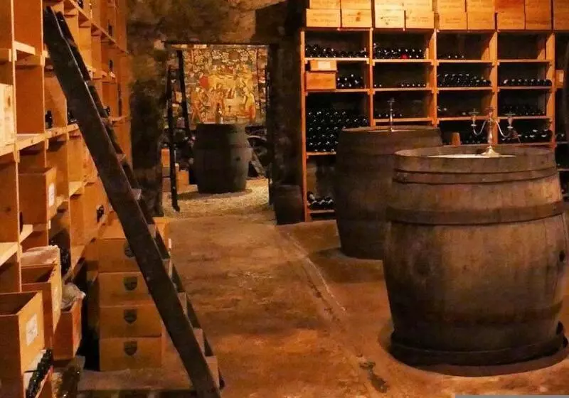 Logis Hotel Le France