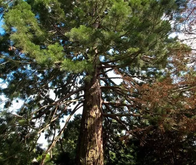 酒店 Hostellerie Les Hauts De Sainte Maure