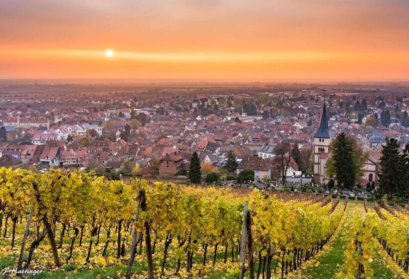 هتل Hôtel Le Manoir