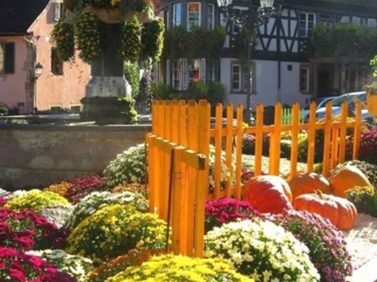 هتل Hôtel Le Manoir