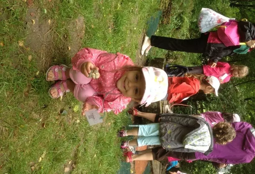 Отель Hôtel Le Manoir